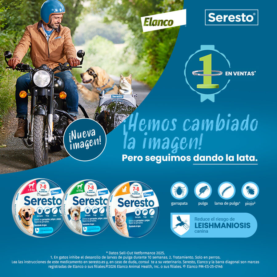 1 coleira x 38 cm Seresto Coleira antiparasit&aacute;ria para gatos, , large Imagem n&uacute;mero 2