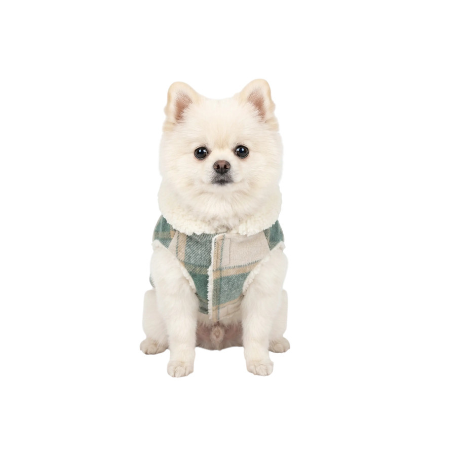 Gotoo Casaco Tartan com Capuz para c&atilde;es, , large Imagem n&uacute;mero 7