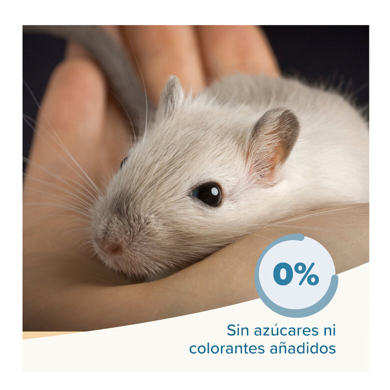 Beaphar Care+ Alimento para ratos e gerbilos,  Imagem número 5 Beaphar Care+ Alimento para ratos e gerbilos, , large Imagem número 5