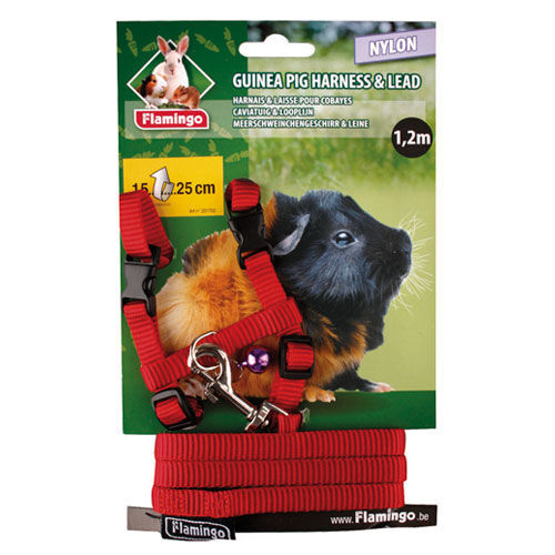 Flamingo arn&eacute;s con correa para cobayas Imagem n&uacute;mero 1