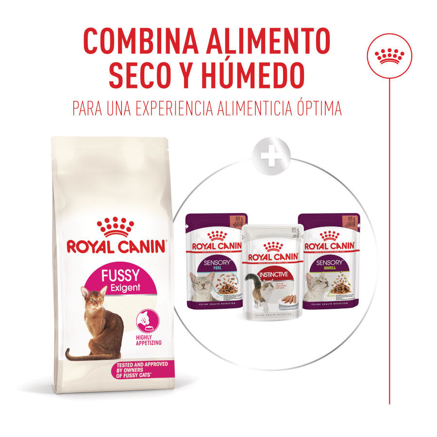 10 kg Royal Canin Fussy Exigent Ra&ccedil;&atilde;o de ave para gatos, , large Imagem n&uacute;mero 8