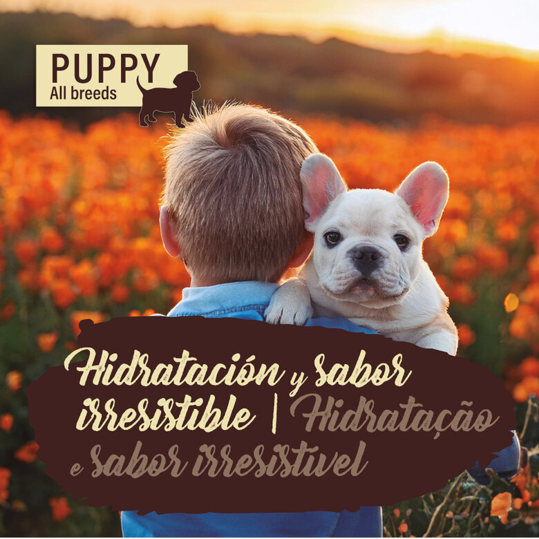 400 g True Origins Pure Lata de frango para cachorros,  Imagem número 4 400 g True Origins Pure Lata de frango para cachorros, , large Imagem número 4