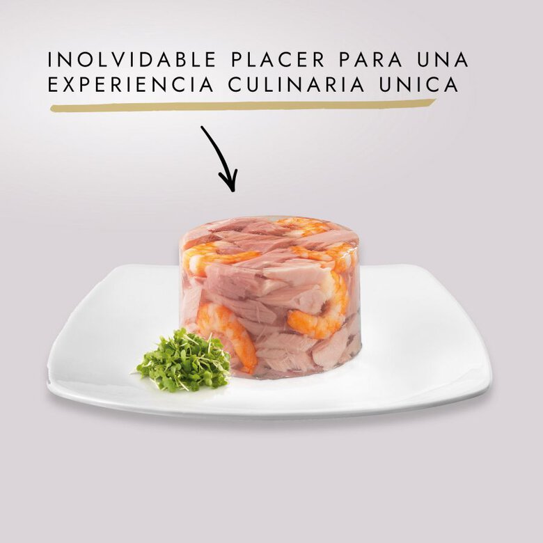 85 g Gourmet Diamant Filetes de Atum e Gambas em gelatina para gatos,  Imagem número 2 85 g Gourmet Diamant Filetes de Atum e Gambas em gelatina para gatos, , large Imagem número 2