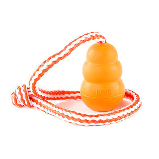Kong Aqua brinquedo com corda para cães