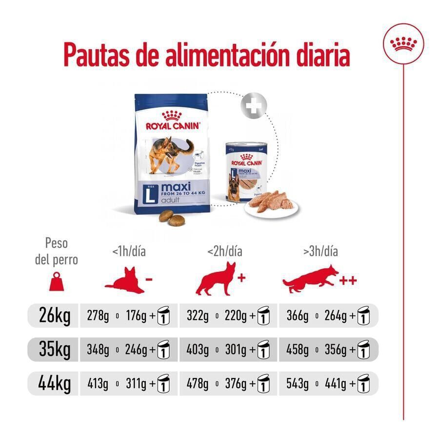 18 kg (15 + 3kg gr&aacute;tis!) Royal Canin Maxi Adult ra&ccedil;&atilde;o para c&atilde;es, , large Imagem n&uacute;mero 8
