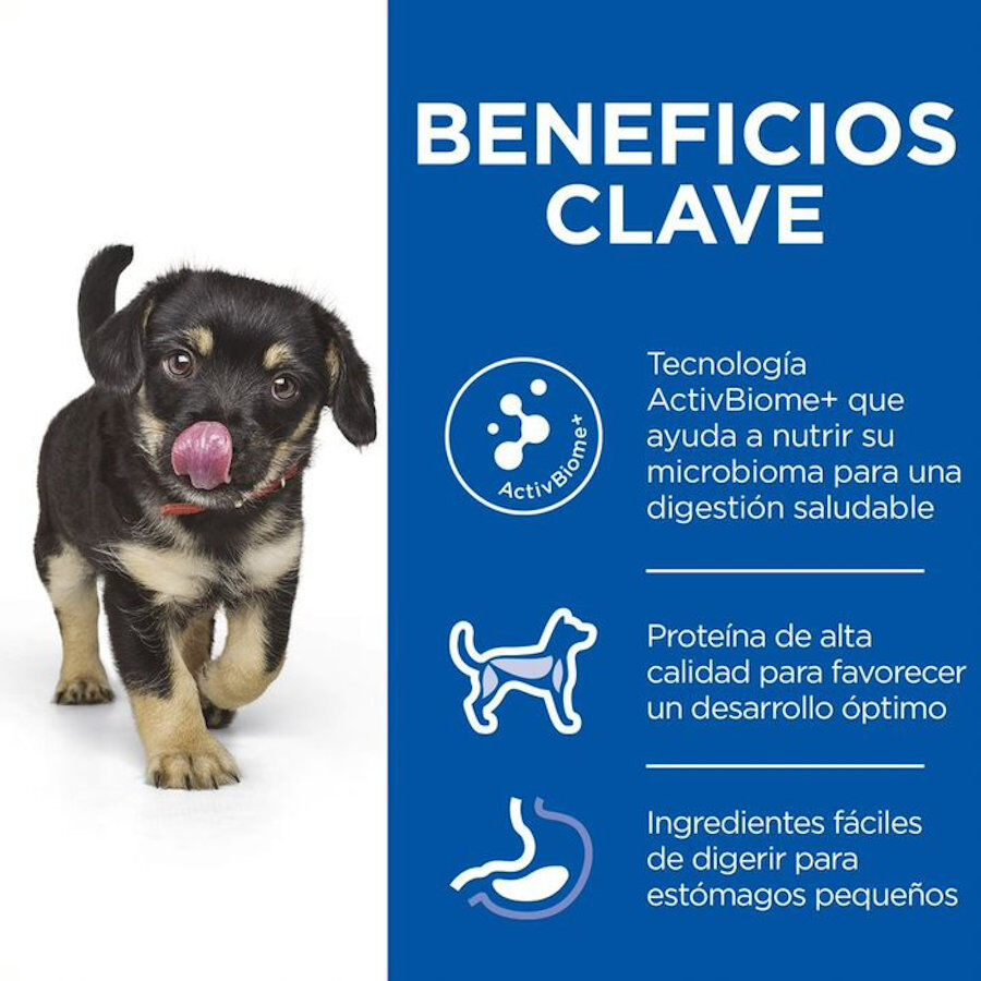 Hill's Puppy Medium Science Plan Perfect Digestion Frango ra&ccedil;&atilde;o, , large Imagem n&uacute;mero 3