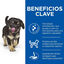 Hill's Puppy Medium Science Plan Perfect Digestion Frango ração, , large Indicador imagem número 3