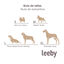 Leeby Almofada Acolchoada Branca com Ouriços para cães, , large Indicador imagem número 5