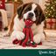 Wonder Christmas Polvo XL Peluche para c&atilde;es, , large Indicador imagem n&uacute;mero 2