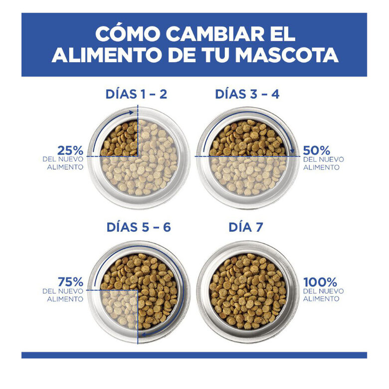 14 kg Hill's Science Plan Hipoalergénico Large Salmão ração para cães,  Imagem número 6 14 kg Hill's Science Plan Hipoalergénico Large Salmão ração para cães, , large Imagem número 6