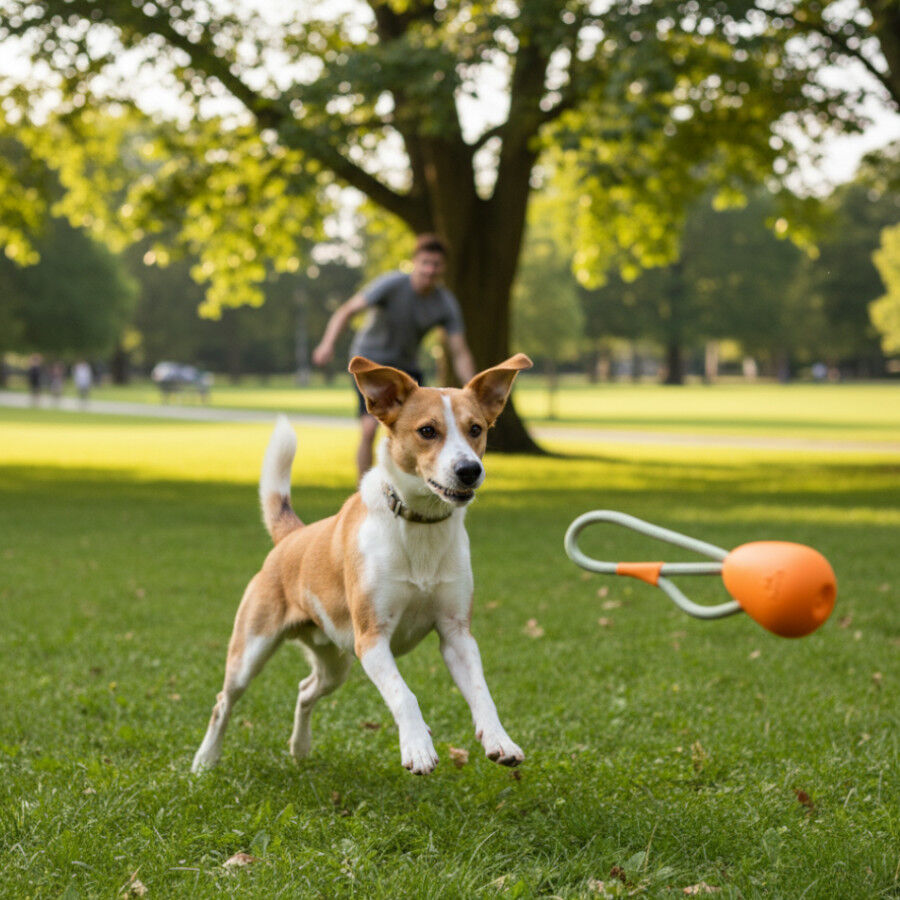 BECO Mordedor de corda para c&atilde;es, , large Imagem n&uacute;mero 1