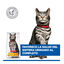 1.5 kg Hill's Urinary Frango ra&ccedil;&atilde;o para gatos , , large Indicador imagem n&uacute;mero 6