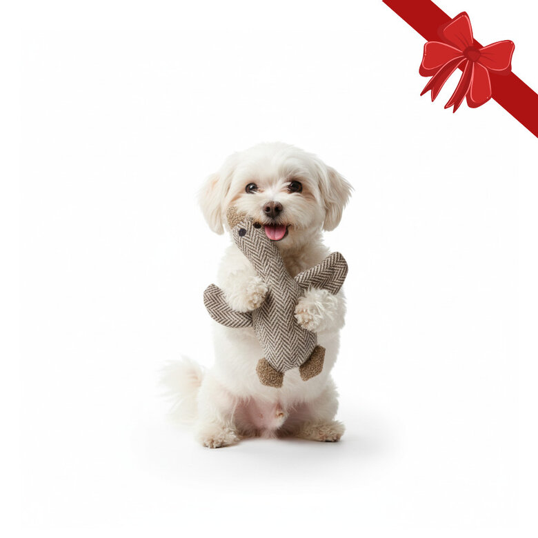 Wonder Christmas Peluche Pato de Natal para Cães,  Imagem número 1 Wonder Christmas Peluche Pato de Natal para Cães, , large Imagem número 1