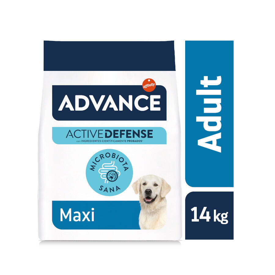 2 x 14 kg Advance Active Defense Maxi Adult Frango e Arroz ra&ccedil;&atilde;o para c&atilde;es Pack poupan&ccedil;a!, , large Imagem n&uacute;mero 2