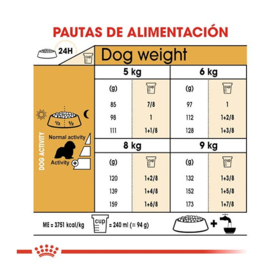 3 kg Royal Canin Adult Cavalier King Charles ra&ccedil;&atilde;o para c&atilde;es, , large Imagem n&uacute;mero 5
