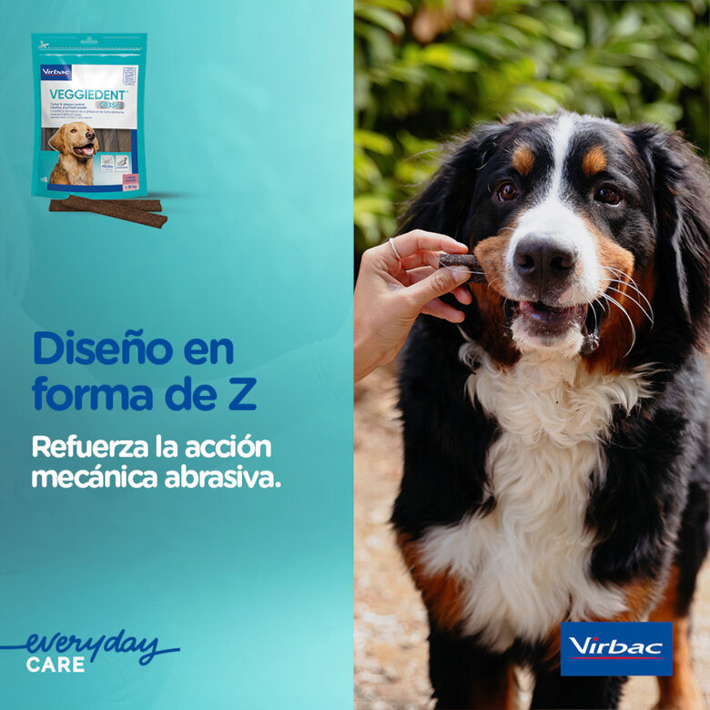 15 sticks Virbac Snacks Dentários Veggiedent Fresh para cães de raça grande,  Imagem número 6 15 sticks Virbac Snacks Dentários Veggiedent Fresh para cães de raça grande, , large Imagem número 6