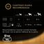 4 saquetas x 100 g Cesar Mistura de Carnes Geleia em Saquinho para Cães - Multipack, , large Indicador imagem número 3