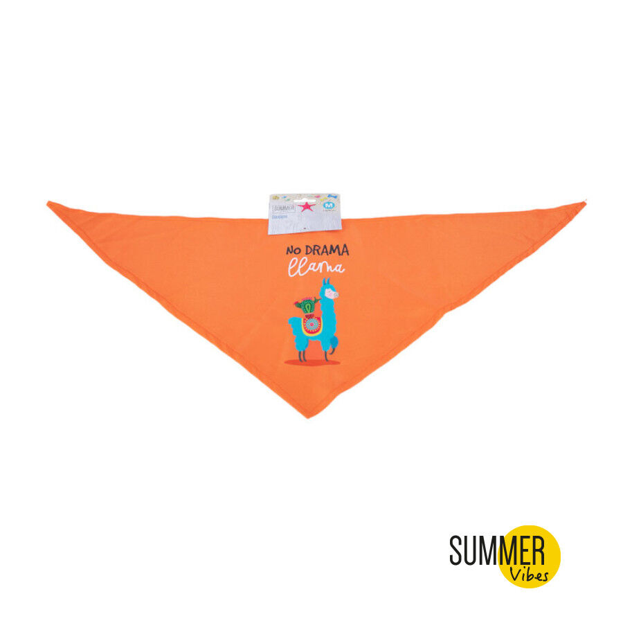 Summer Vibes Lama Bandana para c&atilde;es, , large Imagem n&uacute;mero 2