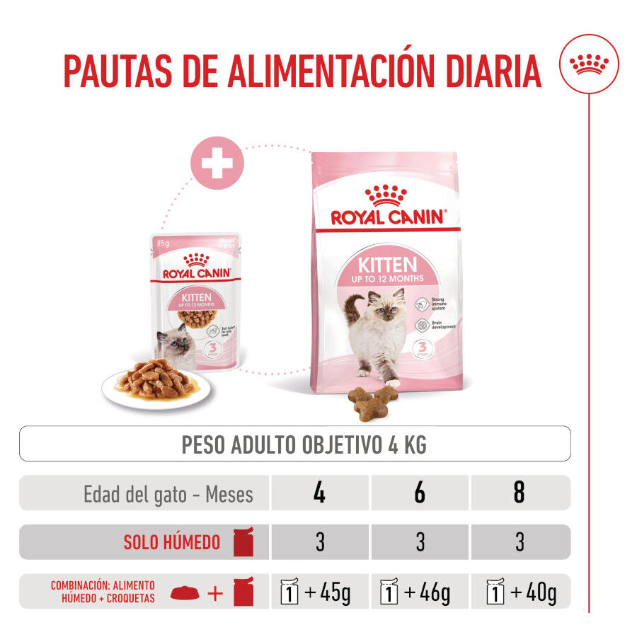 85 g Royal Canin Kitten Alimento H&uacute;mido para gatinhos, , large Imagem n&uacute;mero 7