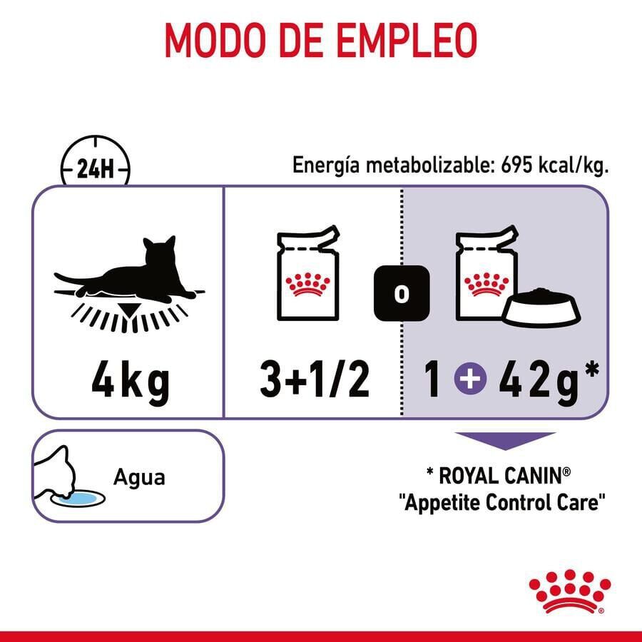 85 g Royal Canin Appetite Control Care molho saqueta para gatos, , large Imagem n&uacute;mero 4
