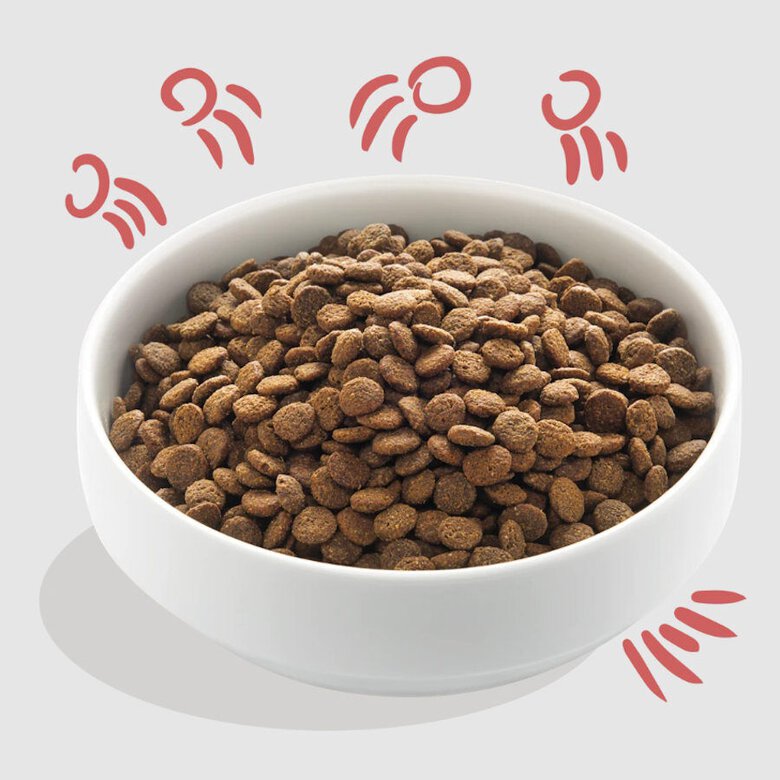 7 kg Edgard & Cooper Senior Salmão da Noruega e Frango ração para cães,  Imagem número 2 7 kg Edgard & Cooper Senior Salmão da Noruega e Frango ração para cães, , large Imagem número 2