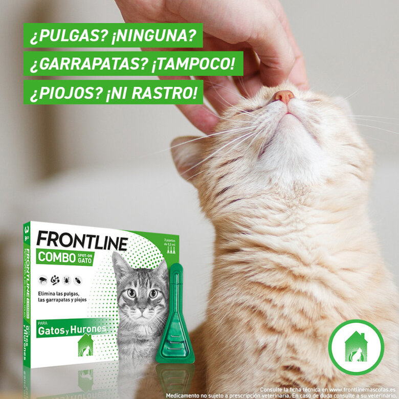 Frontline Combo pipetas antiparasitárias para gatos e furões,  Imagem número 5 Frontline Combo pipetas antiparasitárias para gatos e furões, , large Imagem número 5