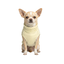 Gotoo Camisola Polar Amarela para c&atilde;es, , large Indicador imagem n&uacute;mero 7