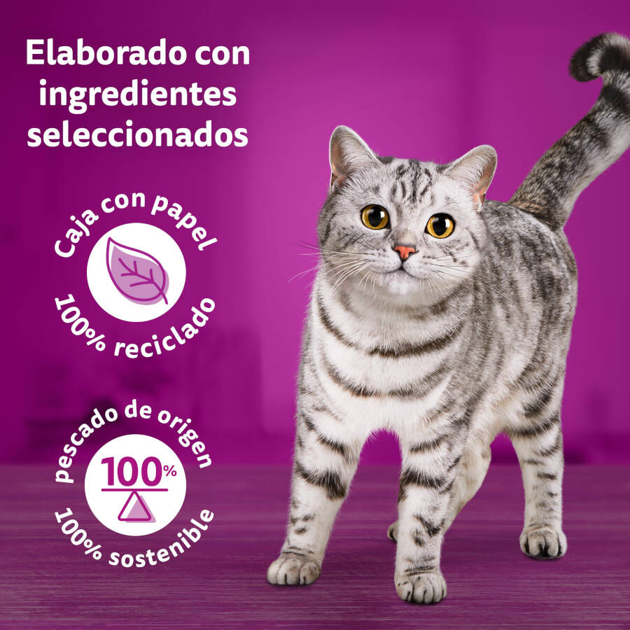 4 saquetas x 85 g Whiskas Duo Meat Combos Sach&ecirc; de Gel&eacute;ia para Gatos, , large Imagem n&uacute;mero 4