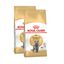 2 x 2 kg Royal Canin Adult British Shorthair ração para gatos Pack poupança!, , large Indicador imagem número 1