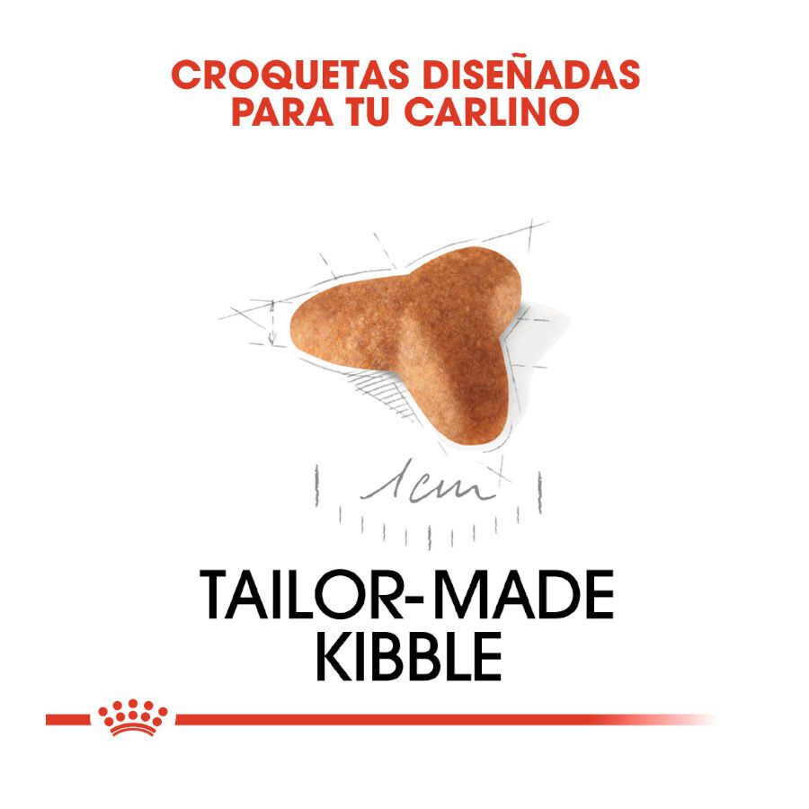 1.5 kg Royal Canin Puppy Pug ra&ccedil;&atilde;o para c&atilde;es, , large Imagem n&uacute;mero 5