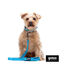 Gotoo Trela de nylon refletora azul para cães, , large Indicador imagem número 3