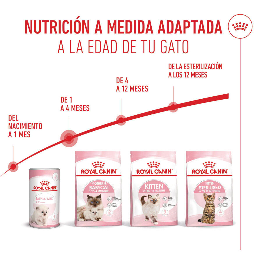 10 kg Royal Canin Mother & Baby ra&ccedil;&atilde;o para gatos, , large Imagem n&uacute;mero 7