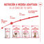 10 kg Royal Canin Mother & Baby ração para gatos, , large Indicador imagem número 7