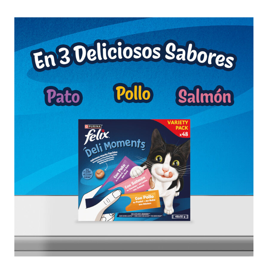 48 saquetas x 10 g Felix Deli Moments Snack l&iacute;quido para gatos - Multipack, , large Imagem n&uacute;mero 3