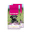 2 x 15 kg Eukanuba Puppy Large Breed Frango ra&ccedil;ao para c&atilde;es Pack poupan&ccedil;a!, , large Indicador imagem n&uacute;mero 1