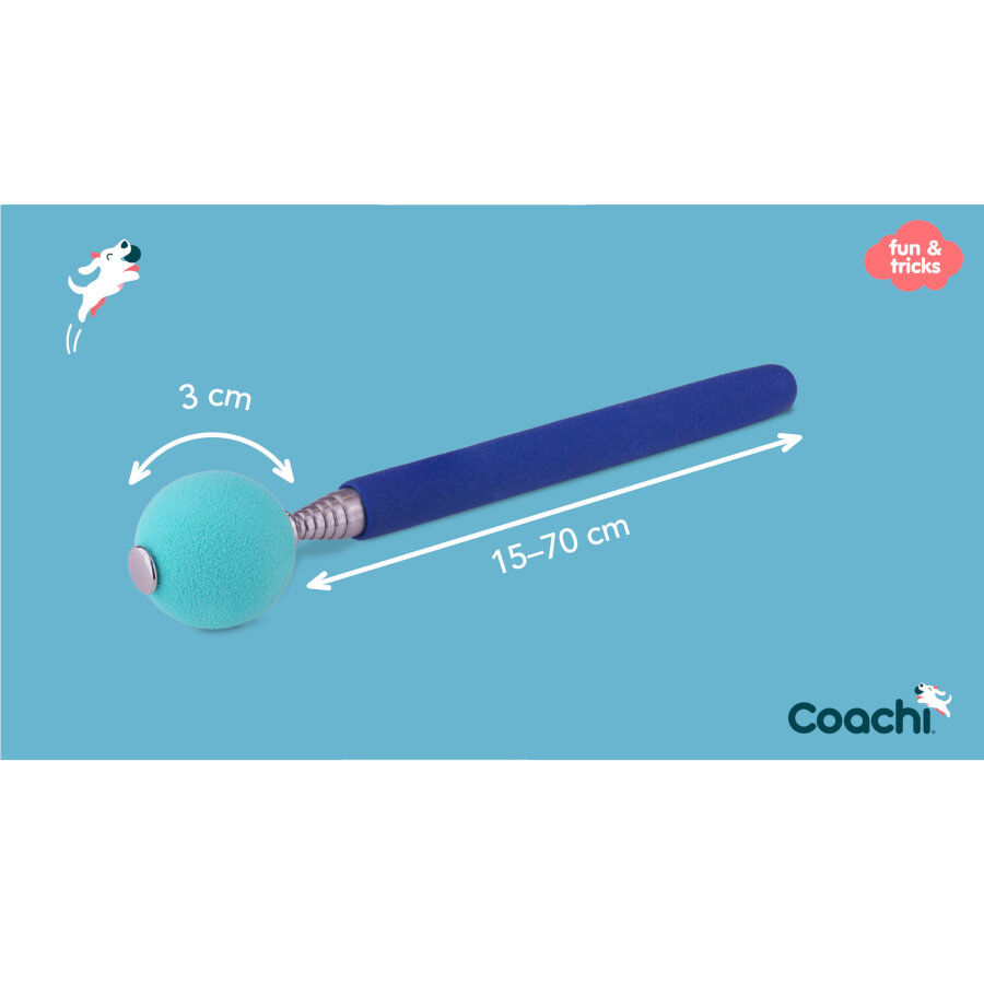 Coachi bast&atilde;o de treino para c&atilde;es, , large Imagem n&uacute;mero 5