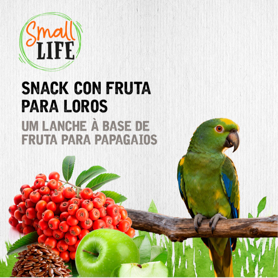 2 barritas Small Life Barritas con Fruta para loros, , large Imagem n&uacute;mero 4