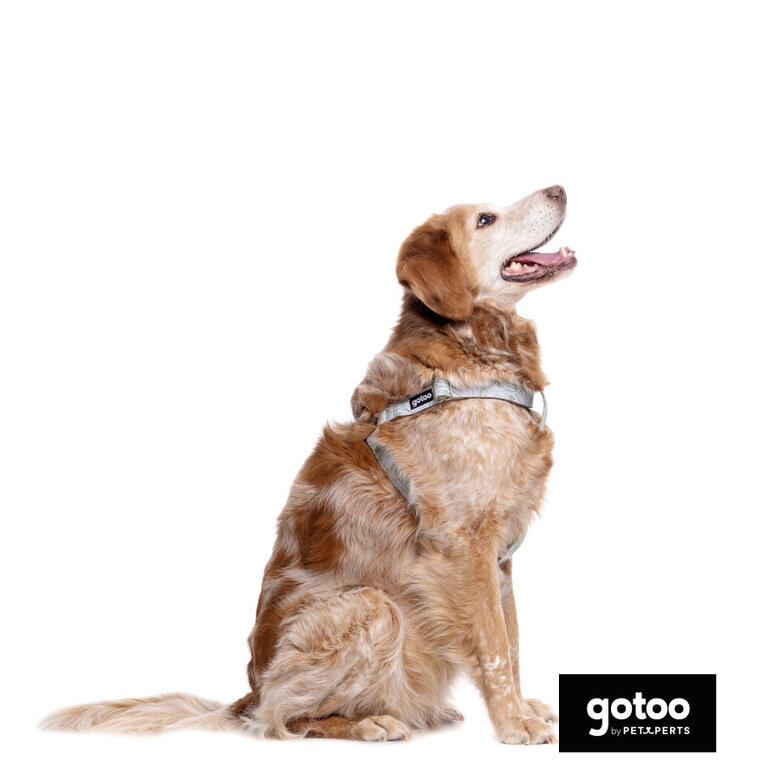 Gotoo Peitoral estampado folhas para cães,  Imagem número 4 Gotoo Peitoral estampado folhas para cães, , large Imagem número 4
