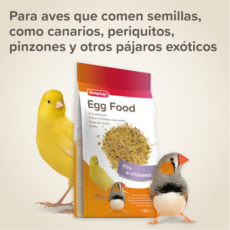 Beaphar Ei-Krachtvoer Pasta de Ovo para canários,  Imagem número 5 Beaphar Ei-Krachtvoer Pasta de Ovo para canários, , large Imagem número 5
