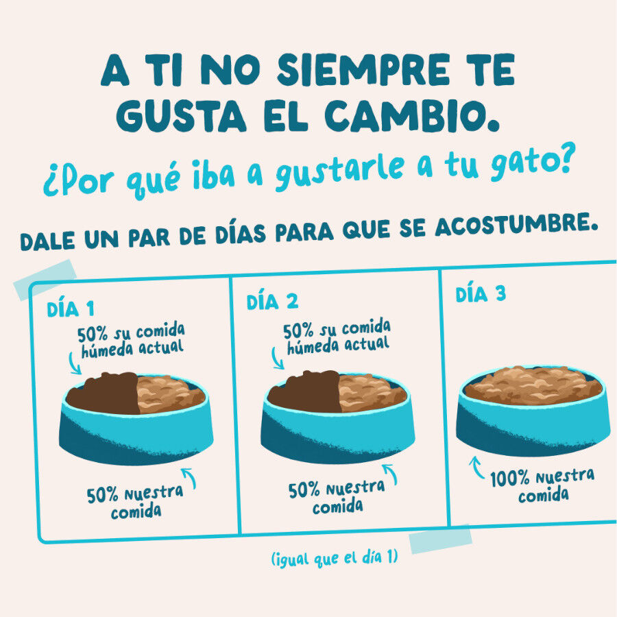 85 g Edgard & Cooper Comida h&uacute;mida de atum e frango em molho em saquetas para gatos, , large Imagem n&uacute;mero 9
