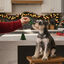 80 g Wonder Christmas Galleta Árbol de Navidad para perros, , large Indicador imagem número 2