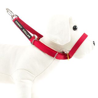 Canny vermelho coleira de controlo para cães indisciplinados