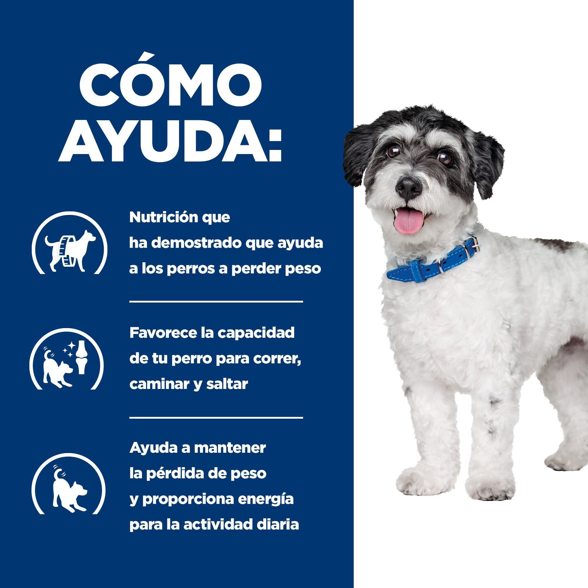 2 x 6 kg Hill's Prescription Diet j/d Metabolic + Mobility mini Adult ra&ccedil;&atilde;o para c&atilde;es Pack poupan&ccedil;a!, , large Imagem n&uacute;mero 4