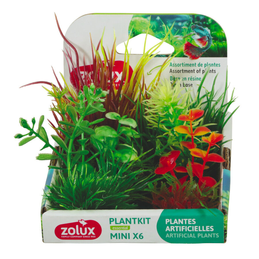 Zolux Plankit Plantas artificiais minis para aqu&aacute;rios de peixes, , large Imagem n&uacute;mero 1