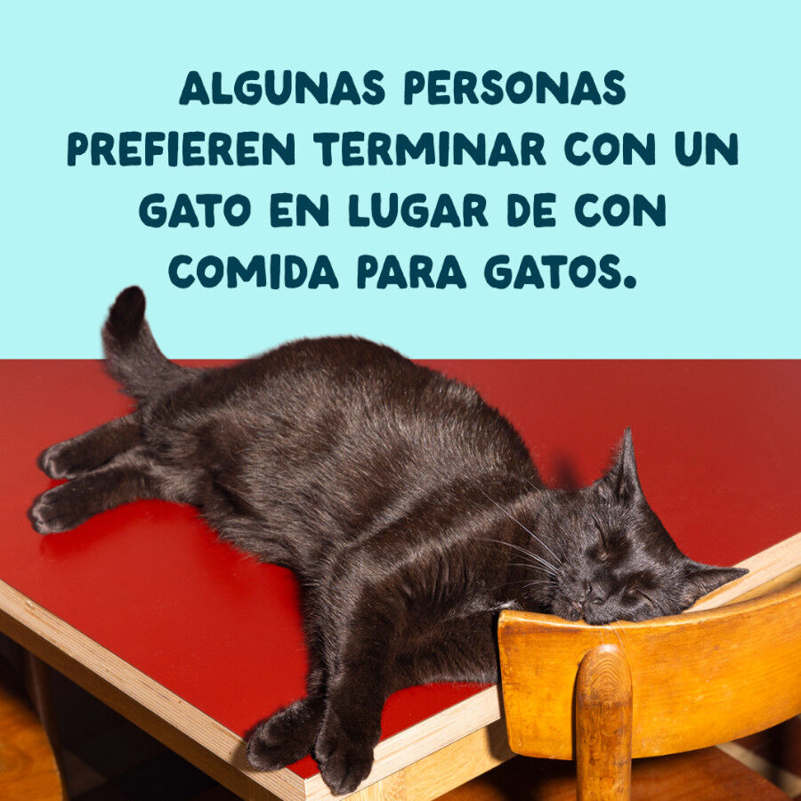 70 g Edgard & Cooper Alimento h&uacute;mido de atum e camar&atilde;o em lata para gatos, , large Imagem n&uacute;mero 10