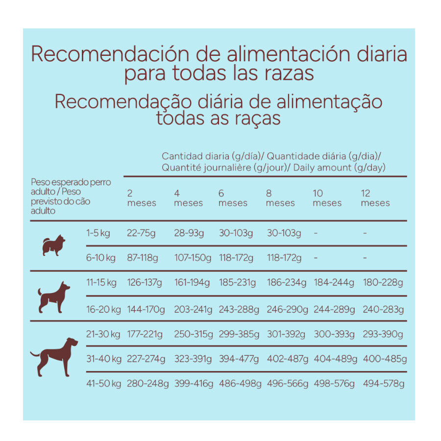 2 x 10 kg Criadores Monoproteico Light -40% conte&uacute;do gordo Adulto com Frango Ra&ccedil;&atilde;o para C&atilde;es, , large Imagem n&uacute;mero 10