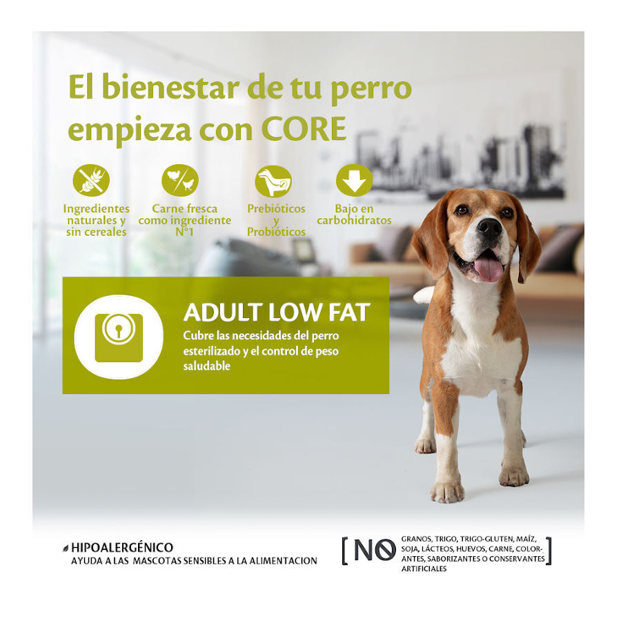 10 kg Wellness Core Adult Medium/Large Healthy Peru ra&ccedil;&atilde;o para c&atilde;es , , large Imagem n&uacute;mero 2