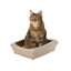 Nice Care Caixa de areia bege para gatos, , large Indicador imagem número 1