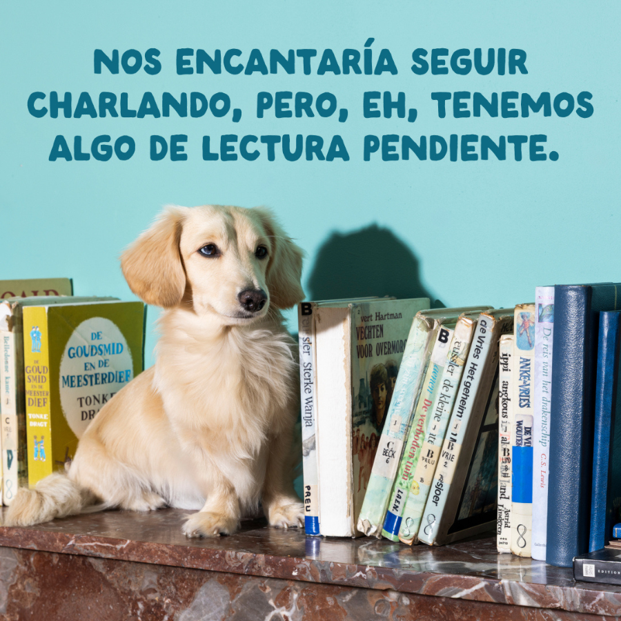 8 x 150 g Edgard & Cooper Adult Grain Free Saquetas para c&atilde;es - Multipack, , large Imagem n&uacute;mero 9