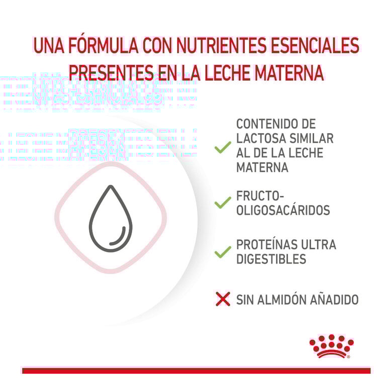 300 g Royal Canin Leite para gatinhos primeiro ano,  Imagem número 5 300 g Royal Canin Leite para gatinhos primeiro ano, , large Imagem número 5